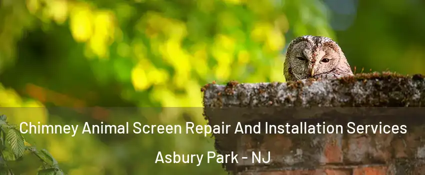 Chimney Animal Screen Repair And Installation Services Asbury Park - NJ