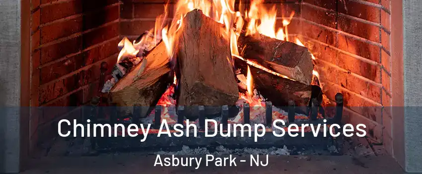 Chimney Ash Dump Services Asbury Park - NJ