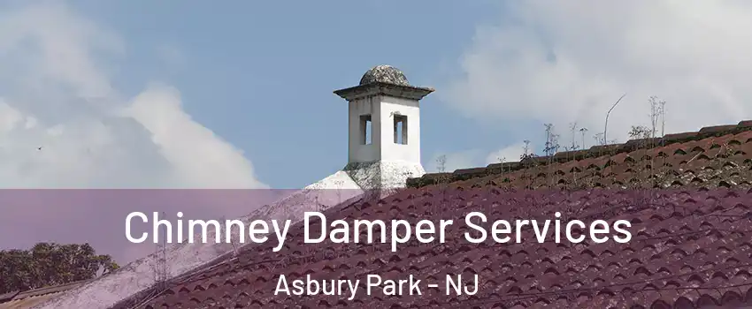 Chimney Damper Services Asbury Park - NJ