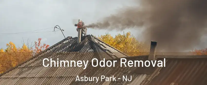 Chimney Odor Removal Asbury Park - NJ