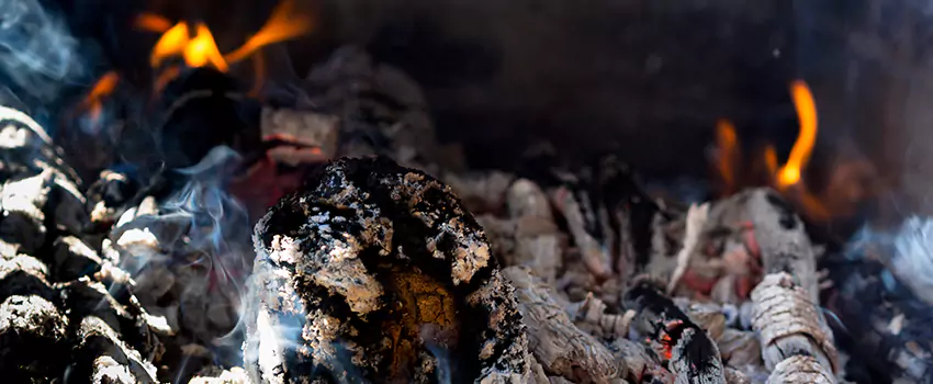 Creosote Removal Experts in Asbury Park, NJ